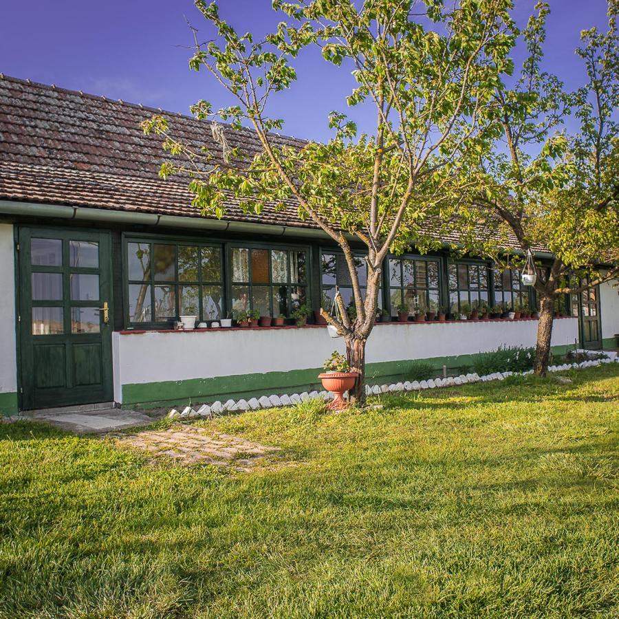 Etno Salas - Etno Ranch - Seosko Turisticko Domacinstvo Villa Palić Eksteriør bilde