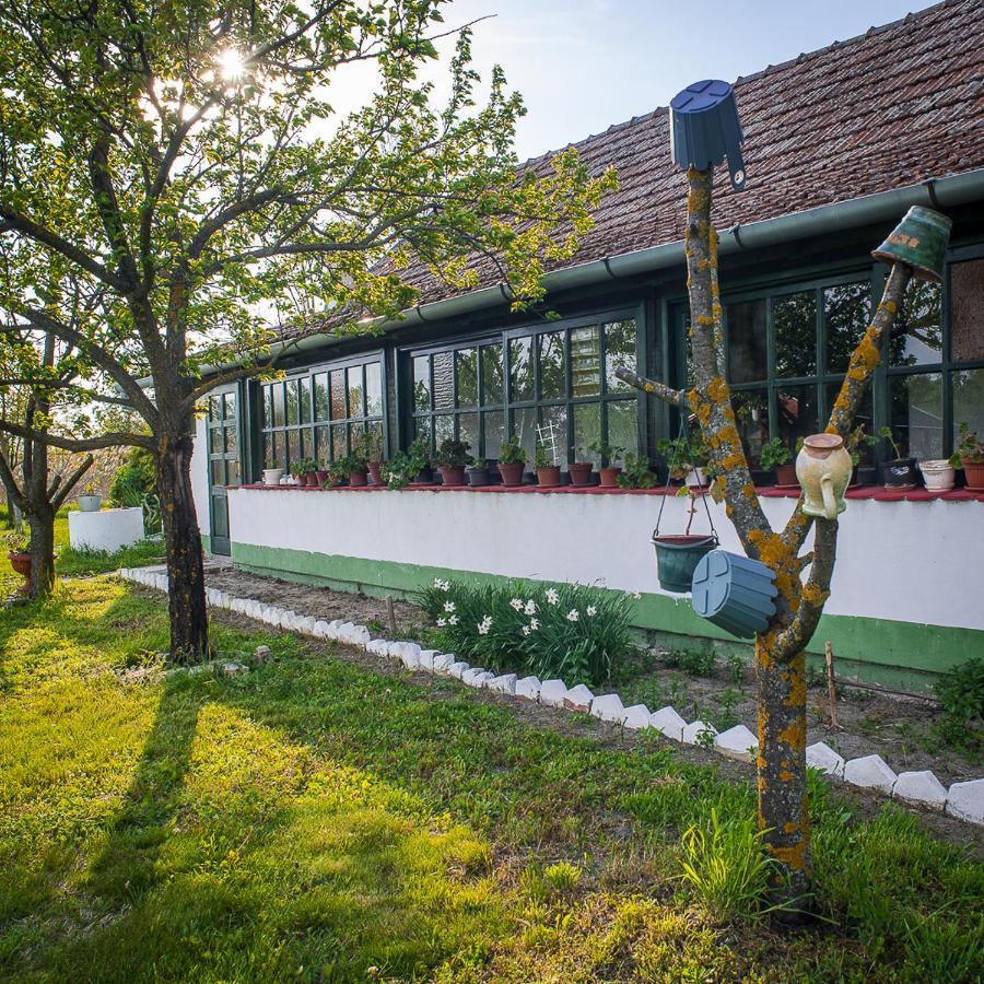 Etno Salas - Etno Ranch - Seosko Turisticko Domacinstvo Villa Palić Eksteriør bilde